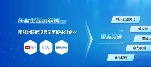 光电子信息产业强势崛起，黄石凭什么？